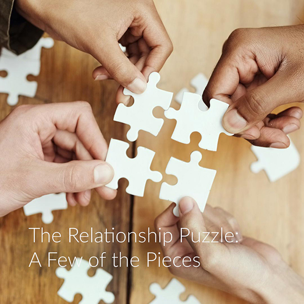 The Relationship Puzzle: A Few of the Pieces, Brett Beaver, LMFT